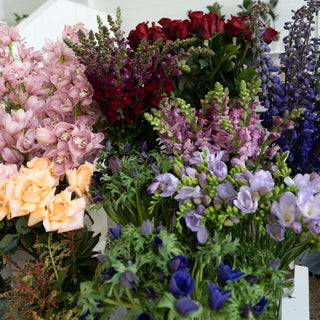 The Bright Florists Choice Bouquet