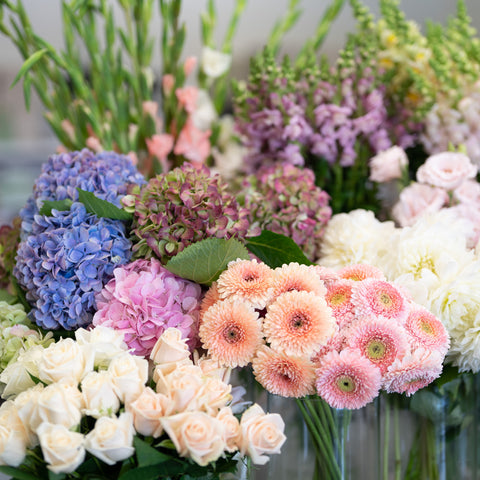 The Bright Florists Choice Bouquet