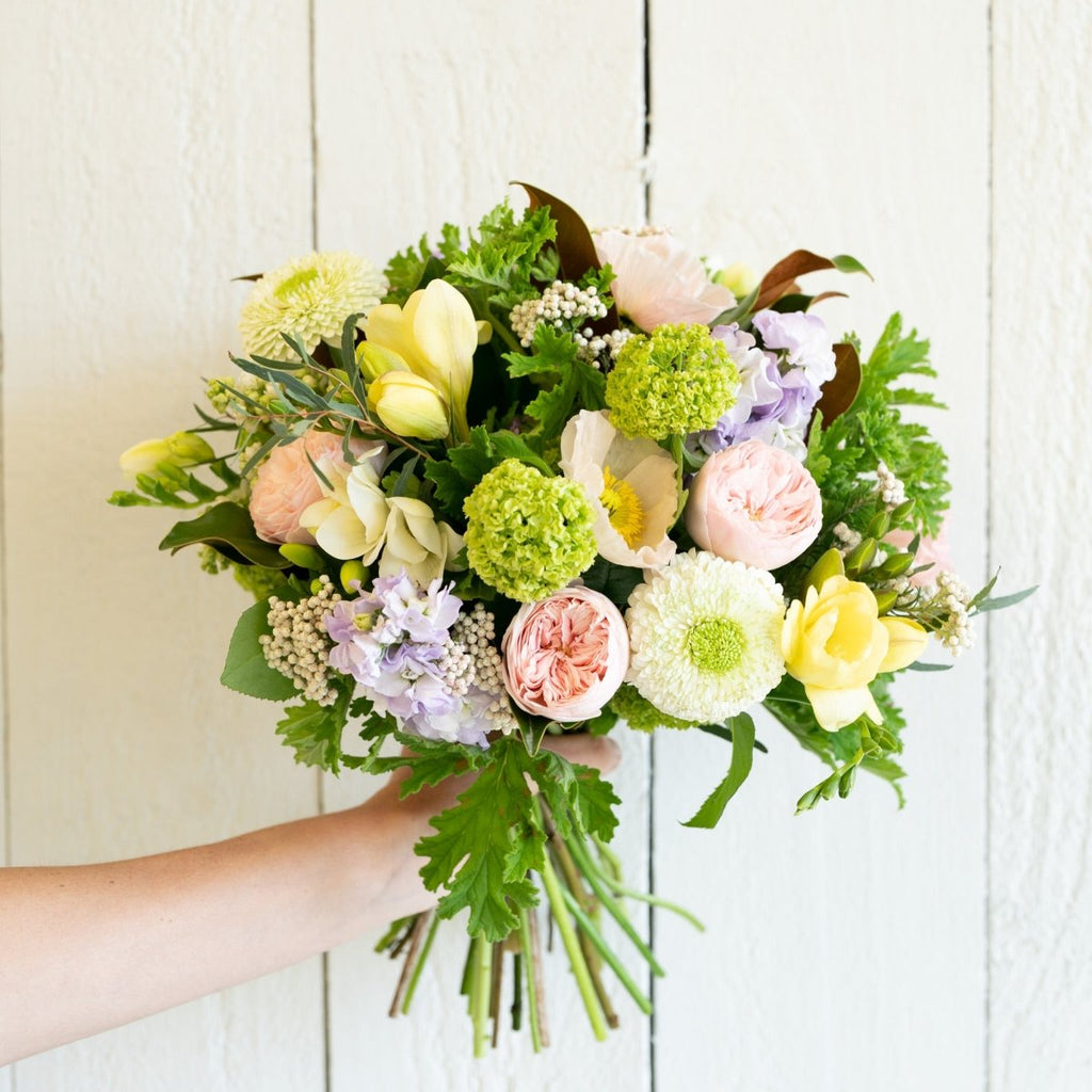 The Pastel Florists Choice Posy - Wild Poppies Flower Wild Poppies
