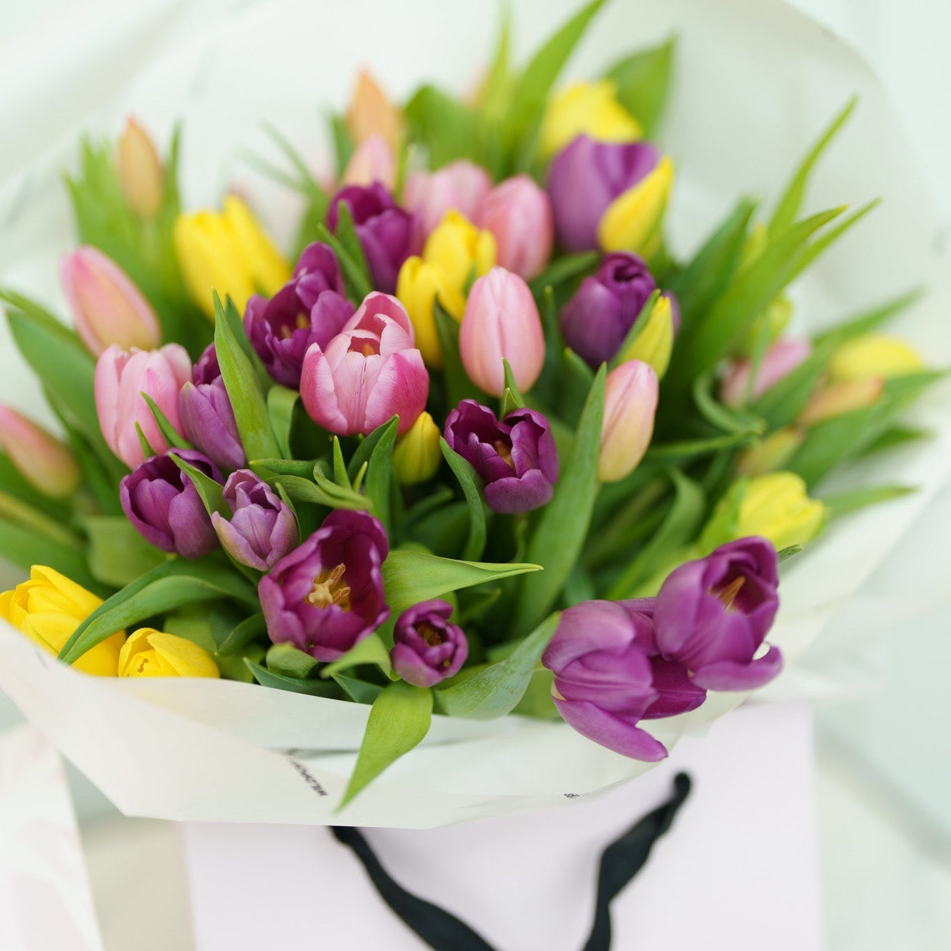 Wild Poppies Tulips - Wild Poppies -  Flower - Same Day Flower Delivery Auckland - Auckland Flower Delivery \ Florists - boutique gift boxes