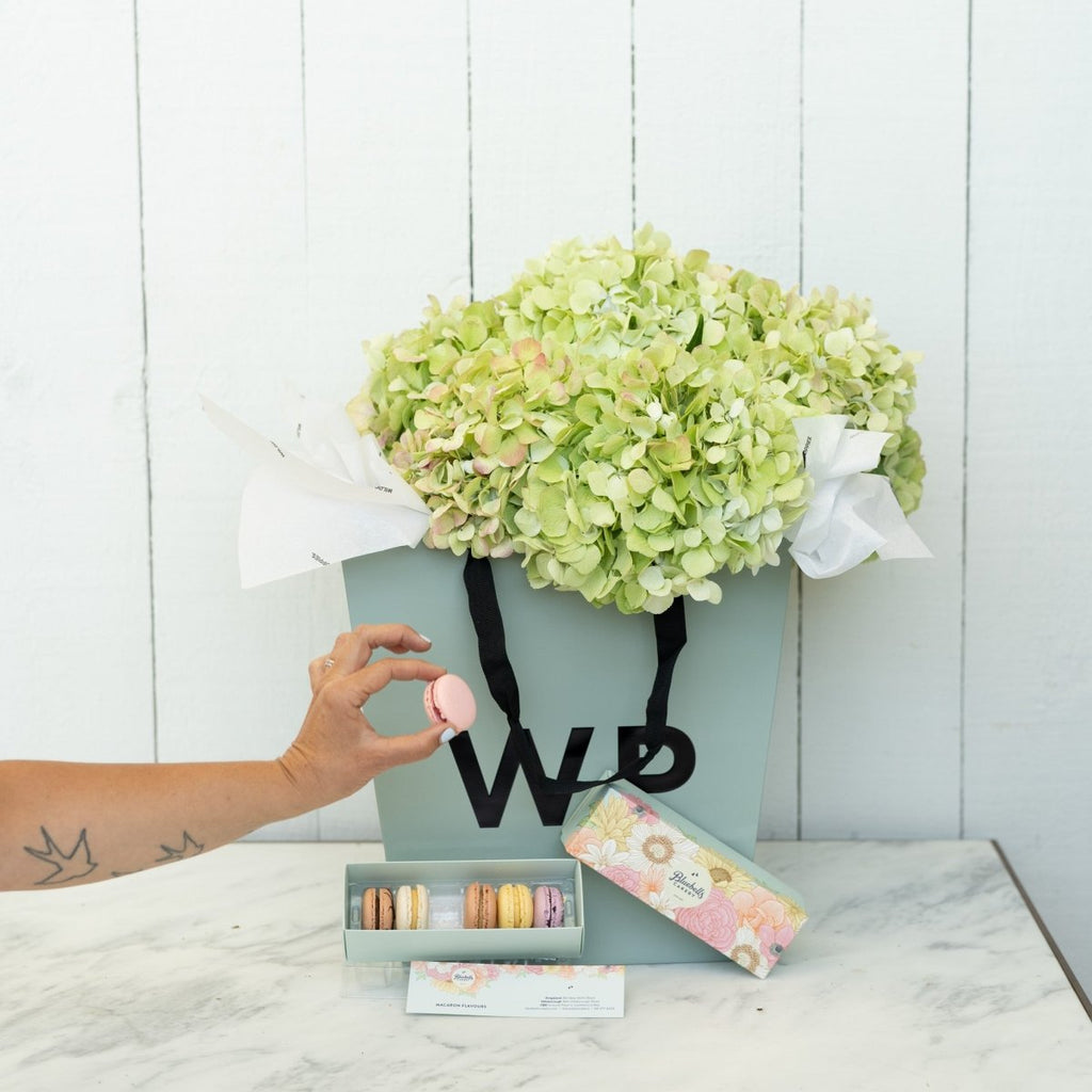 Combo Flower Deals - Wild Poppies