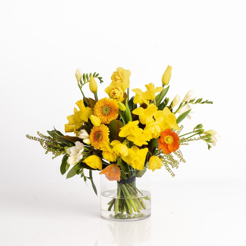 Spring Collection - Wild Poppies