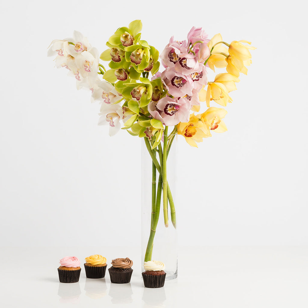 Flower Delivery Forrest Hill | Same Day Flower Delivery Bouquets Gift Boxes