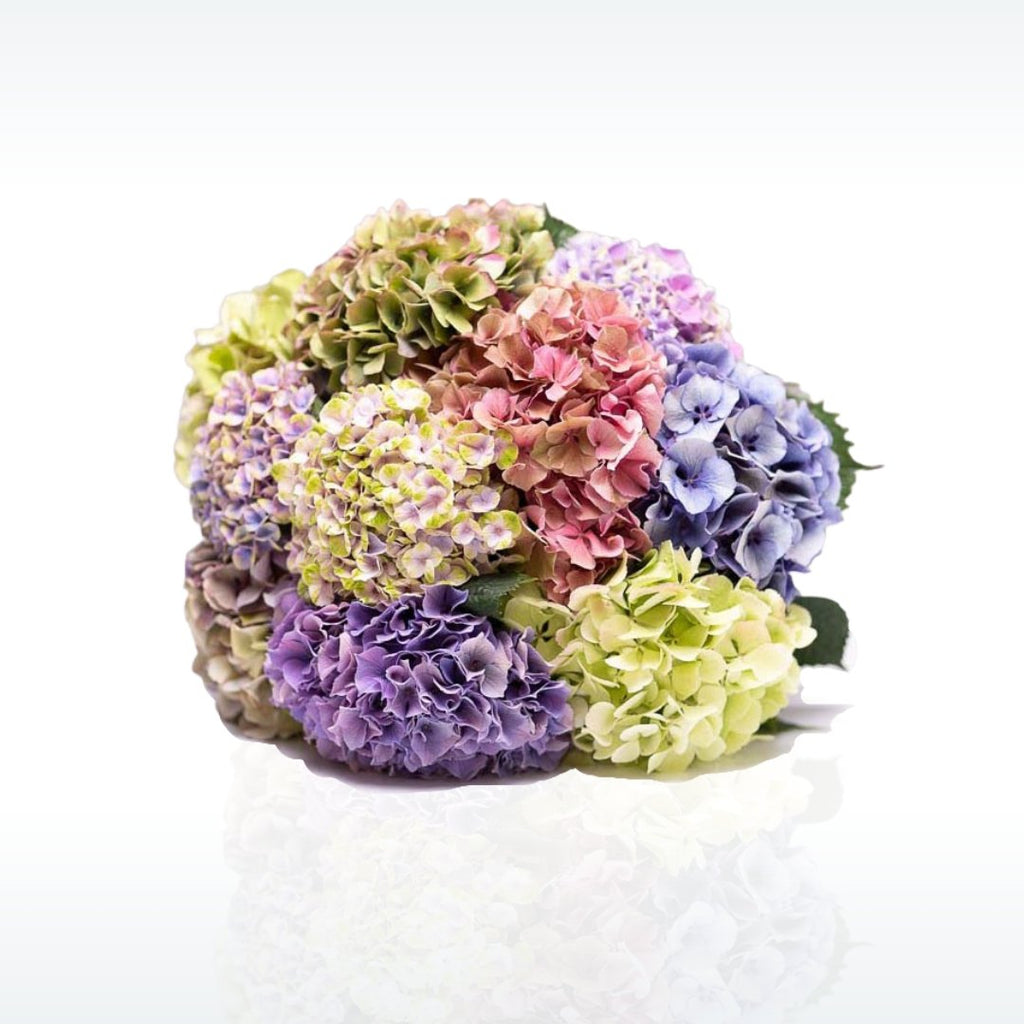 Flower Delivery Flat Bush | Same Day Flower Delivery Bouquets Gift Boxes