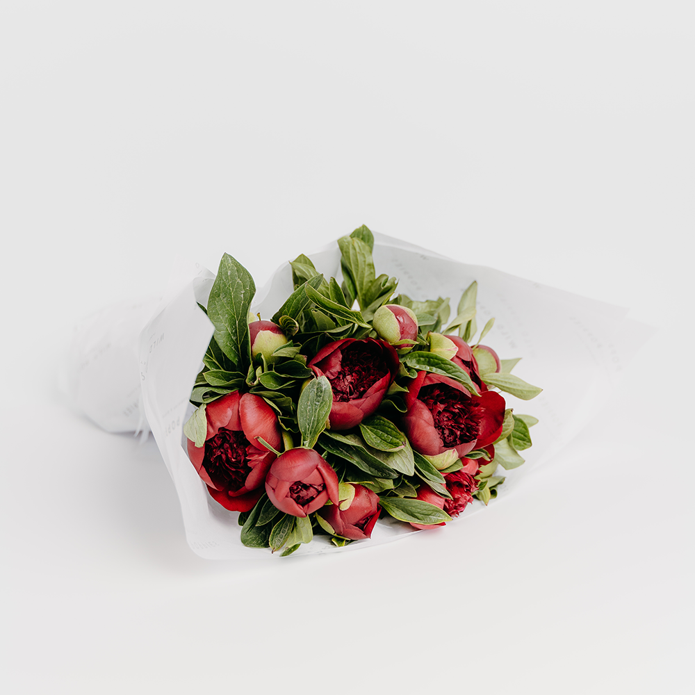 Red Charm Peonies - Wild Poppies -  Flower - Same Day Flower Delivery Auckland - Auckland Flower Delivery \ Florists - boutique gift boxes 