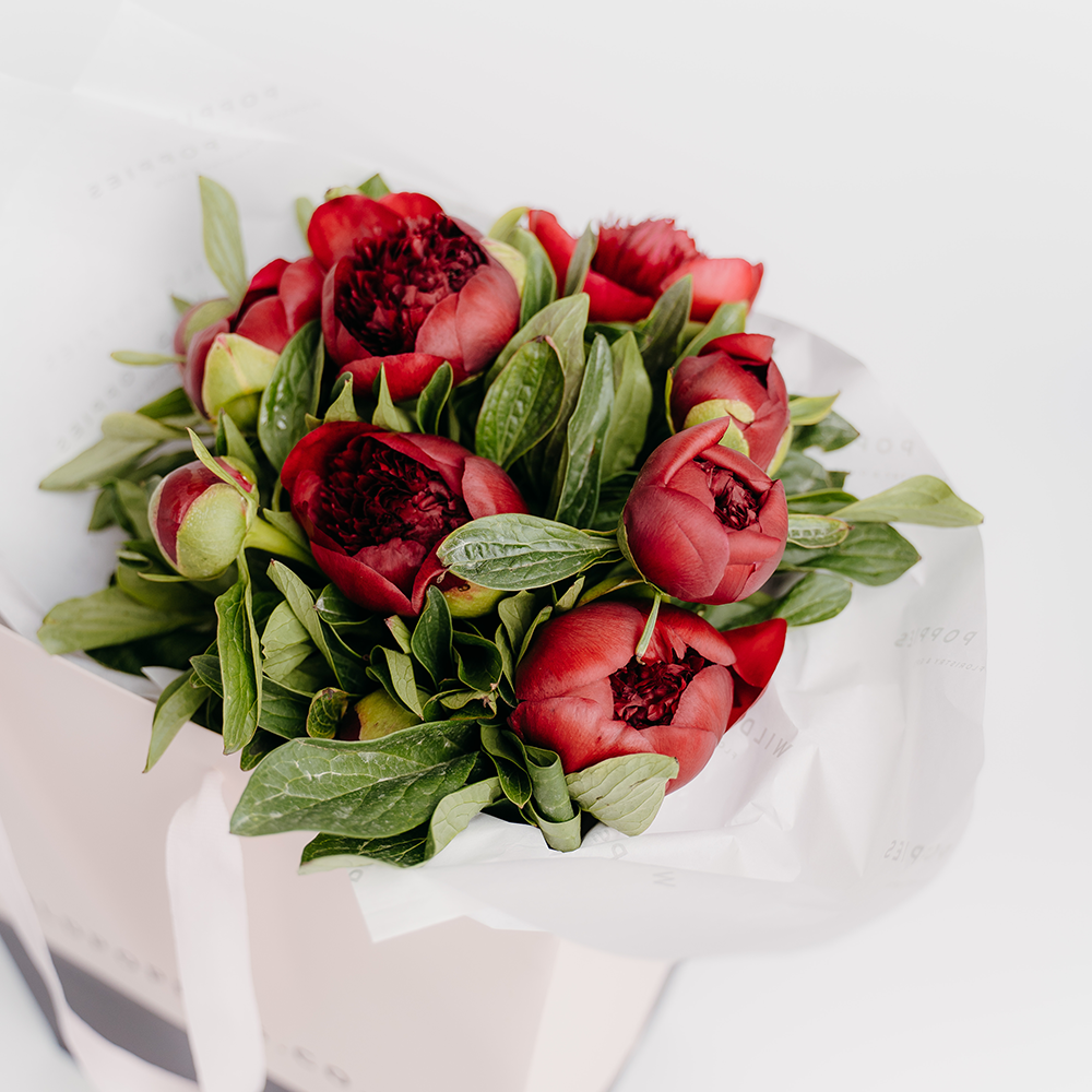 Red Charm Peonies - Wild Poppies -  Flower - Same Day Flower Delivery Auckland - Auckland Flower Delivery \ Florists - boutique gift boxes 