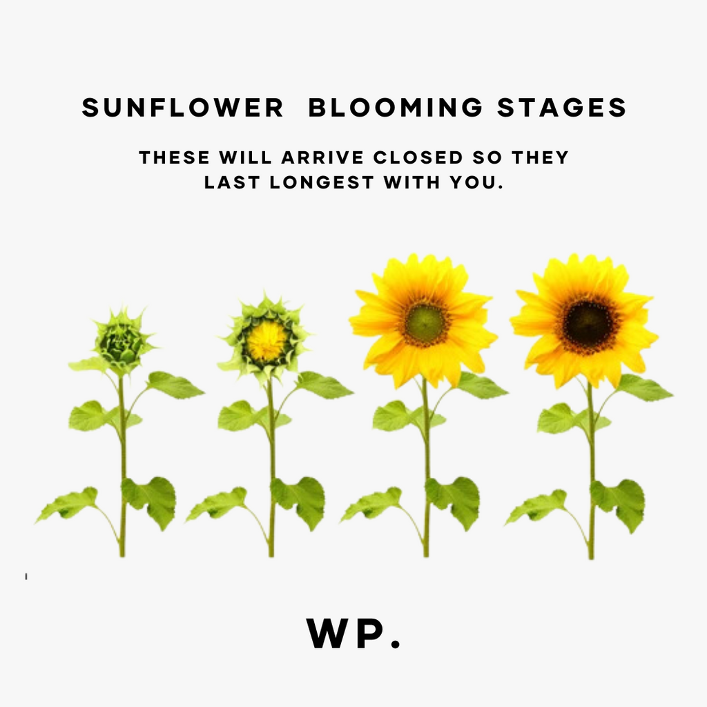 Sunflower Bouquet - Wild Poppies