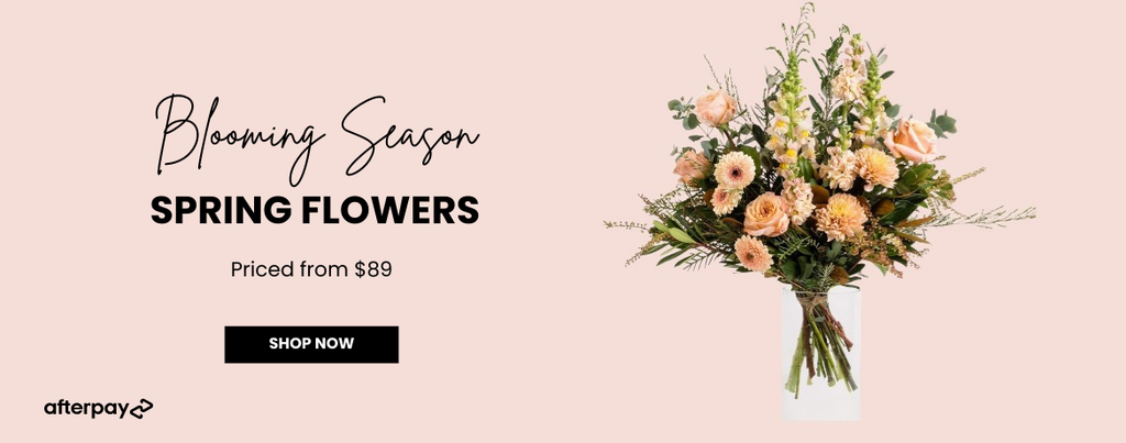 Spring Flowers - Wild Poppies -  Flower - Same Day Flower Delivery Auckland - Auckland Flower Delivery \ Florists - boutique gift boxes
