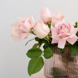 Classic Pink Rose - Wild Poppies -  Flower - Same Day Flower Delivery Auckland - Auckland Flower Delivery \ Florists - boutique gift boxes