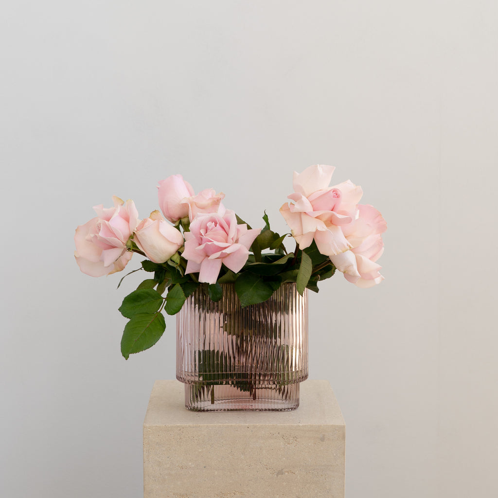 Classic Pink Rose - Wild Poppies -  Flower - Same Day Flower Delivery Auckland - Auckland Flower Delivery \ Florists - boutique gift boxes