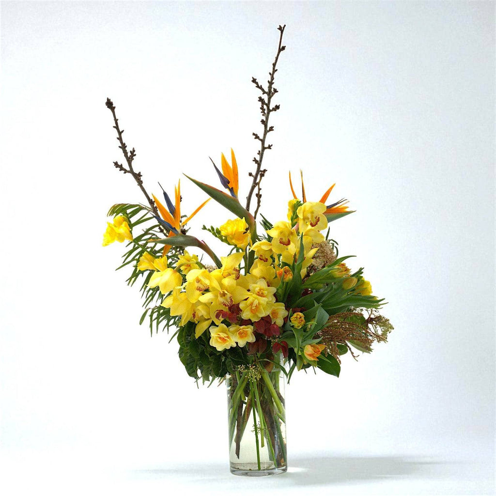 Wild Poppies -  Flower - Same Day Flower Delivery Auckland - Auckland Flower Delivery \ Florists - boutique gift boxes
