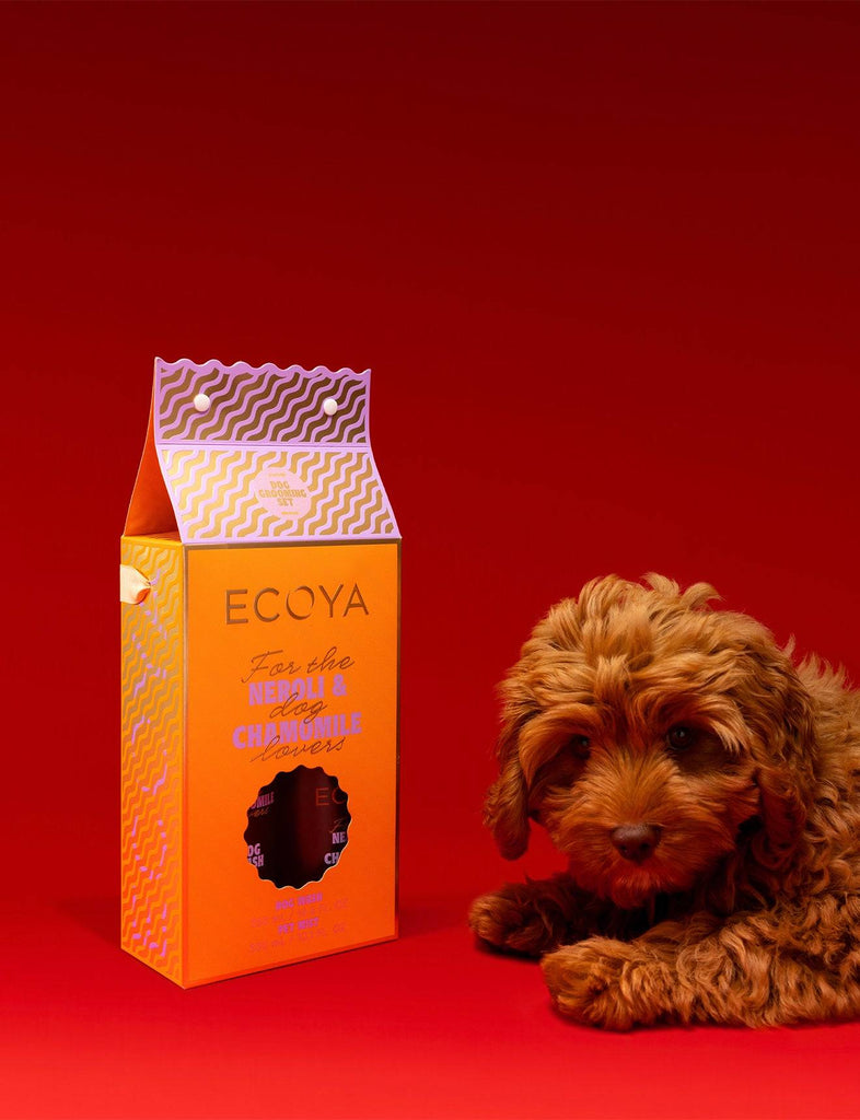 Wild Poppies -  Flower - Same Day Flower Delivery Auckland - Auckland Flower Delivery \ Florists - boutique gift boxes
