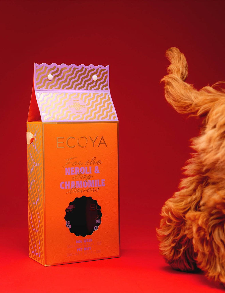 Wild Poppies -  Flower - Same Day Flower Delivery Auckland - Auckland Flower Delivery \ Florists - boutique gift boxes
