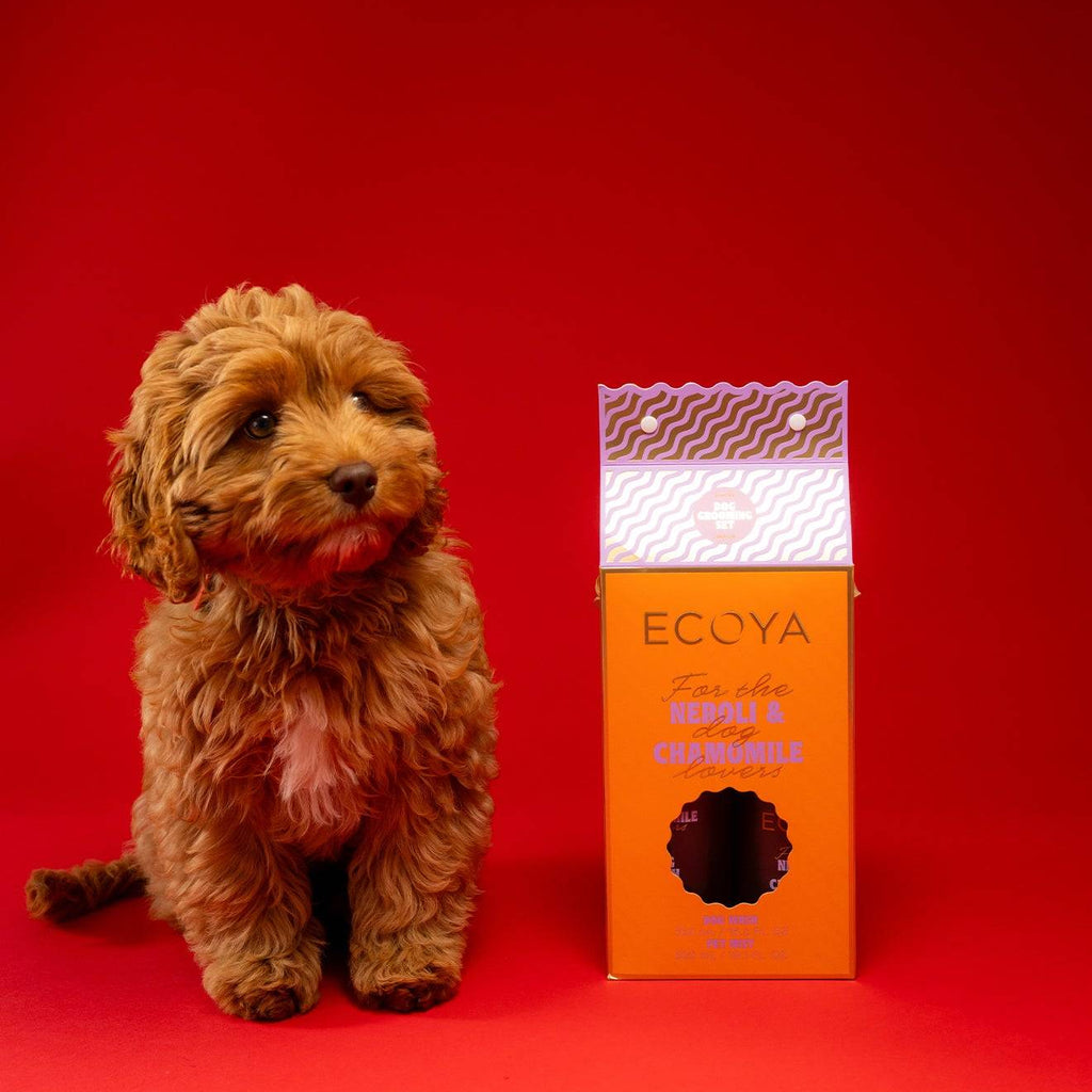 Dog Grooming Set - Wild Poppies -  Flower - Same Day Flower Delivery Auckland - Auckland Flower Delivery \ Florists - boutique gift boxes
