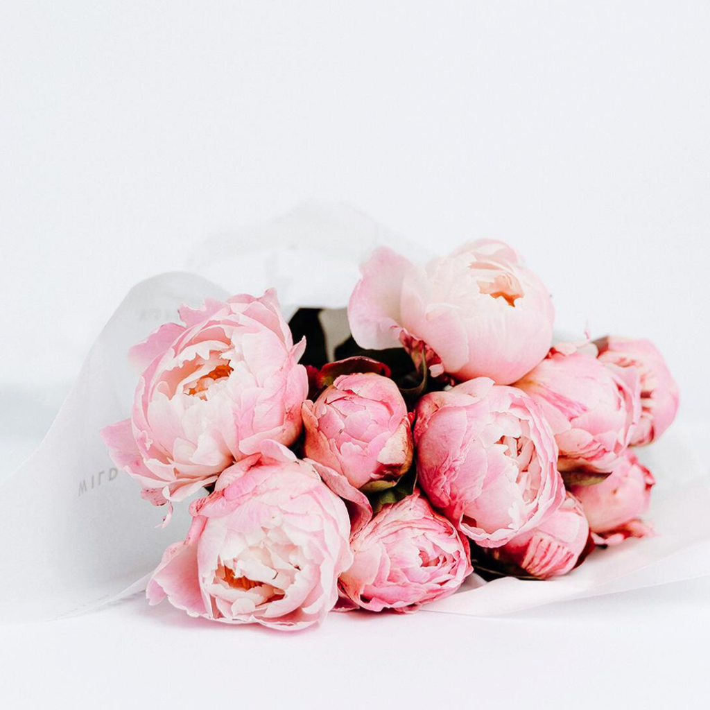 Princess Pink Peonies - Wild Poppies -  Flower - Same Day Flower Delivery Auckland - Auckland Flower Delivery \ Florists - boutique gift boxes 