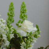 Fresh White & Greens Showstopper Bouquet - Wild Poppies -  Flower - Same Day Flower Delivery Auckland - Auckland Flower Delivery - Florists - boutique gift boxes