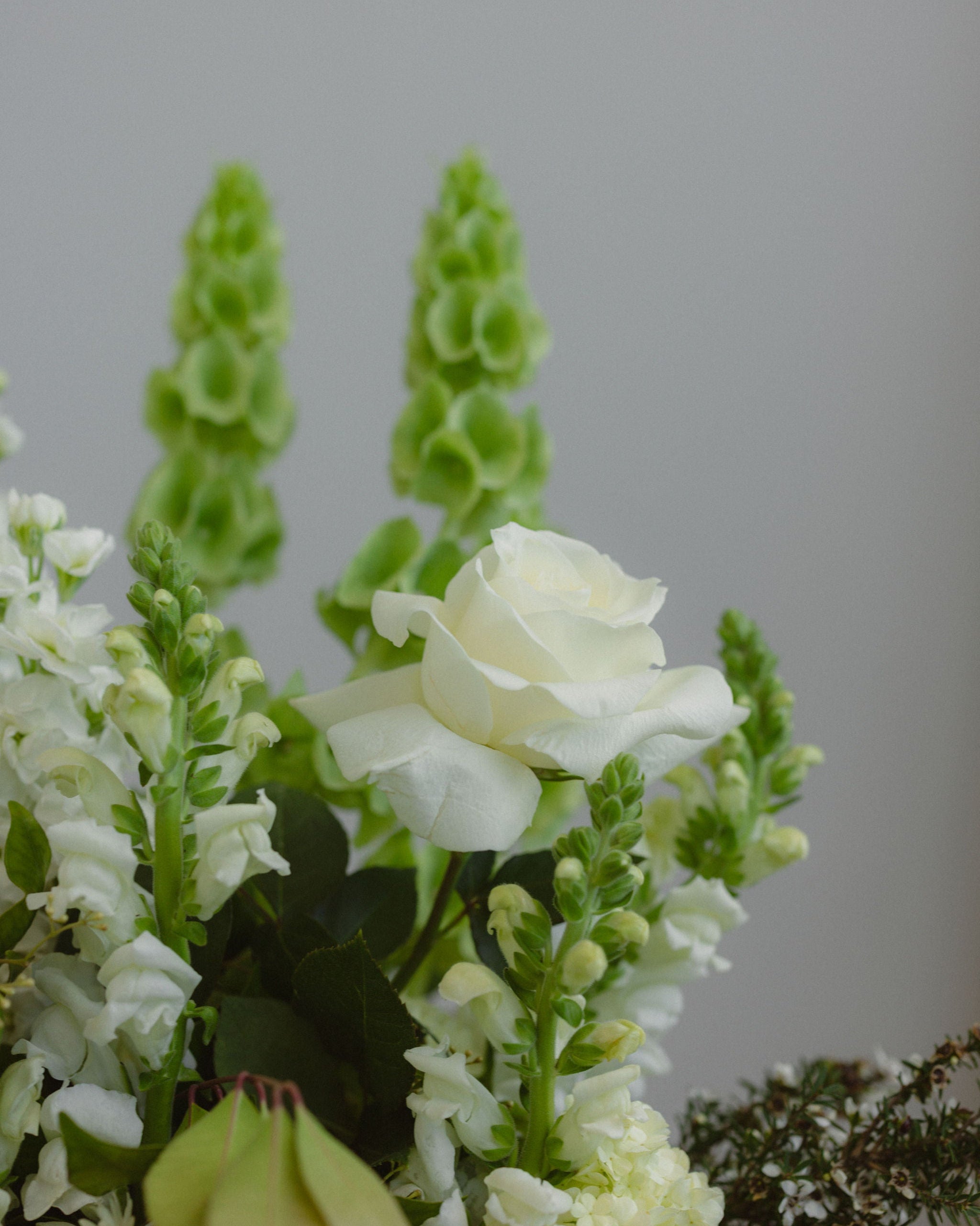 Fresh White & Greens Showstopper Bouquet - Wild Poppies -  Flower - Same Day Flower Delivery Auckland - Auckland Flower Delivery - Florists - boutique gift boxes