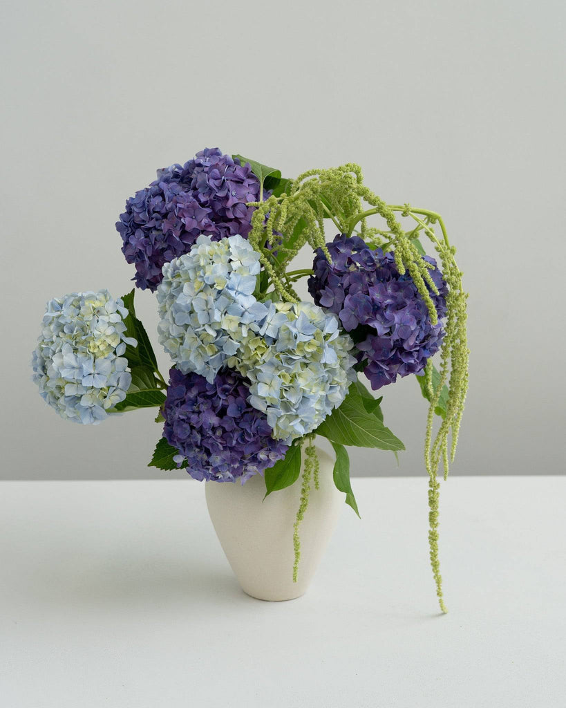 Hydrangea Bouquet and Blueberry Gin Gift - Wild Poppies -  Flower - Same Day Flower Delivery Auckland - Auckland Flower Delivery - Florists - boutique gift boxes