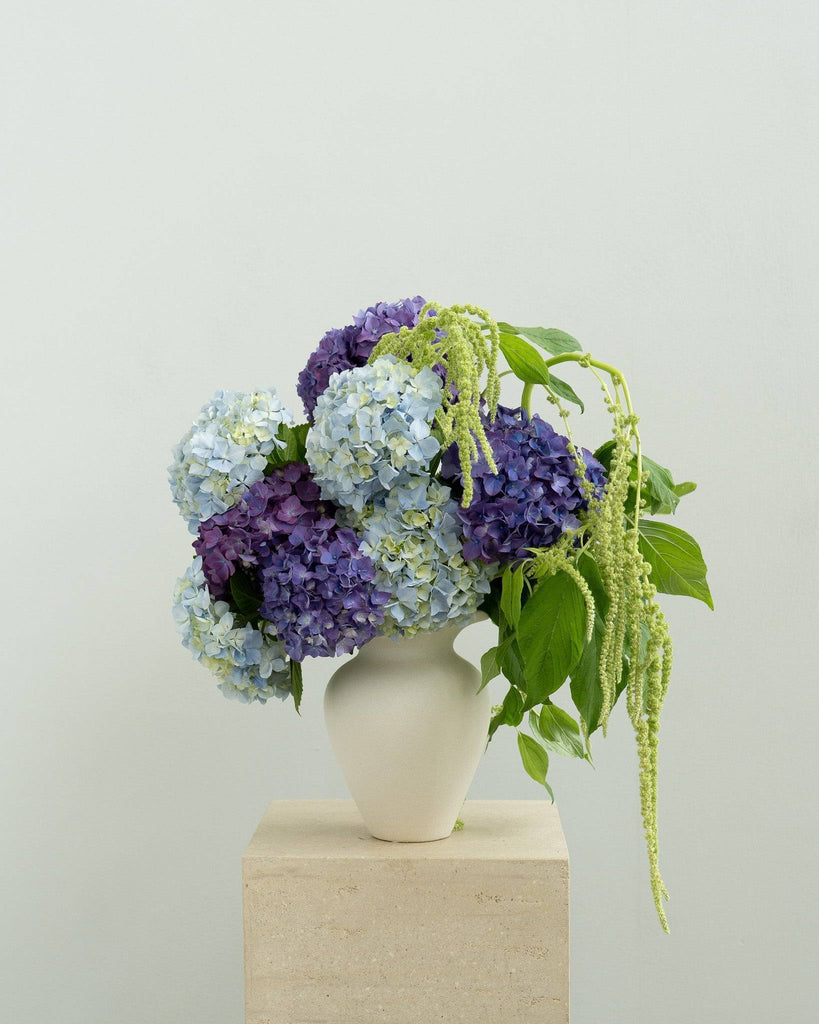 Hydrangea Bouquet and Blueberry Gin Gift - Wild Poppies -  Flower - Same Day Flower Delivery Auckland - Auckland Flower Delivery - Florists - boutique gift boxes