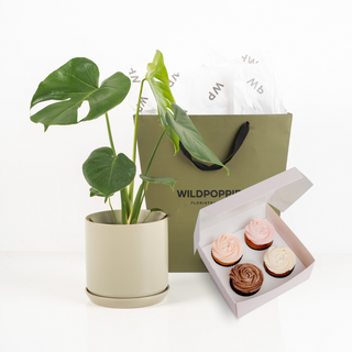 Monstera Plant & Petal Cupcakes