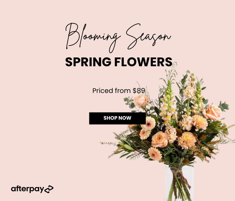 Spring Flowers - Wild Poppies -  Flower - Same Day Flower Delivery Auckland - Auckland Flower Delivery \ Florists - boutique gift boxes
