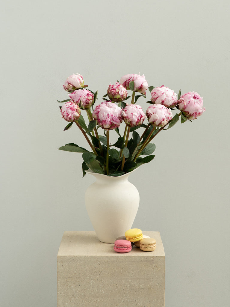 Princess Pink Peonies - Wild Poppies -  Flower - Same Day Flower Delivery Auckland - Auckland Flower Delivery - Florists - boutique gift boxes