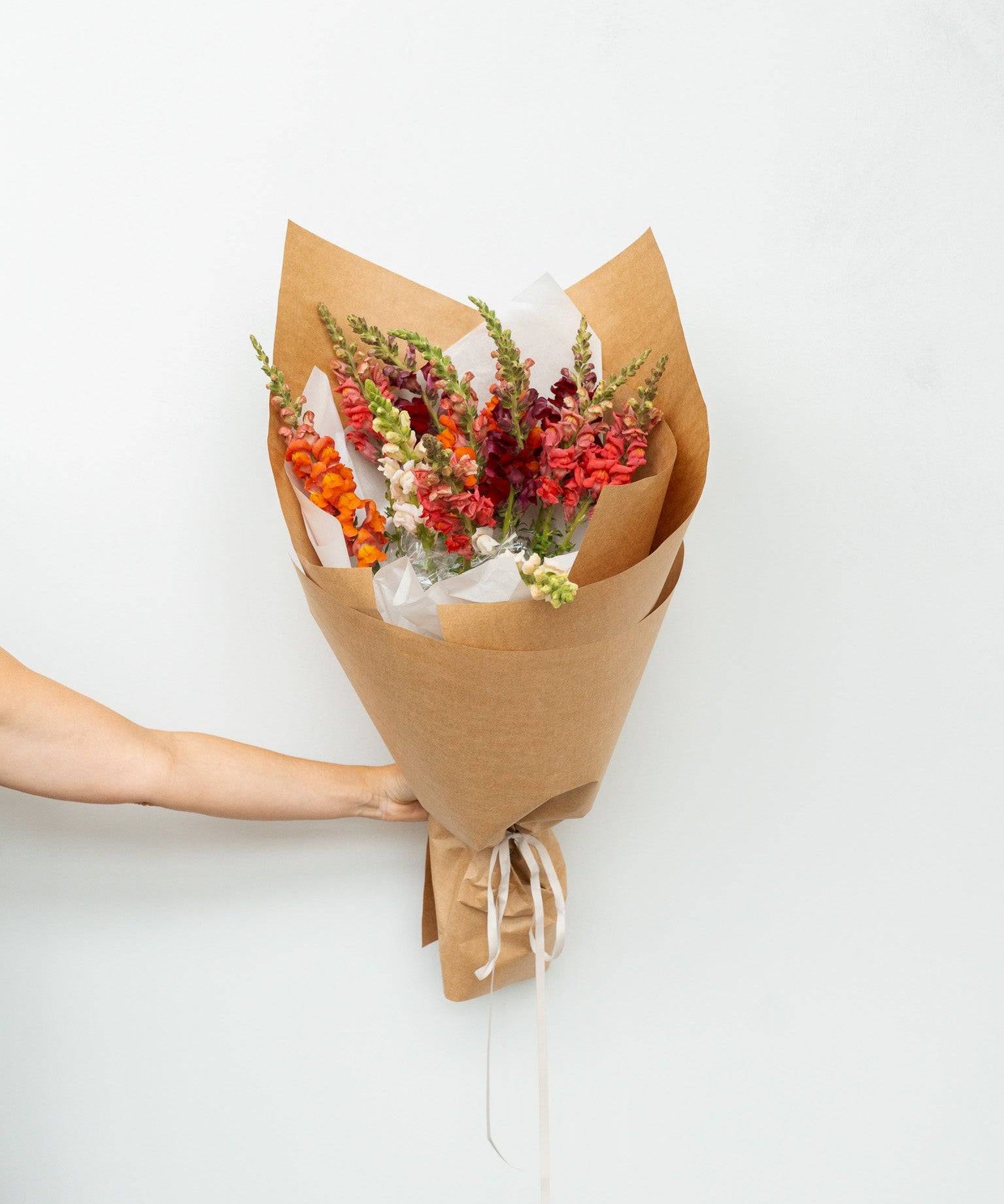 Snapdragon Flower Bunch - Mixed -Wild Poppies -  Flower - Same Day Flower Delivery Auckland - Auckland Flower Delivery \ Florists - boutique gift boxes
