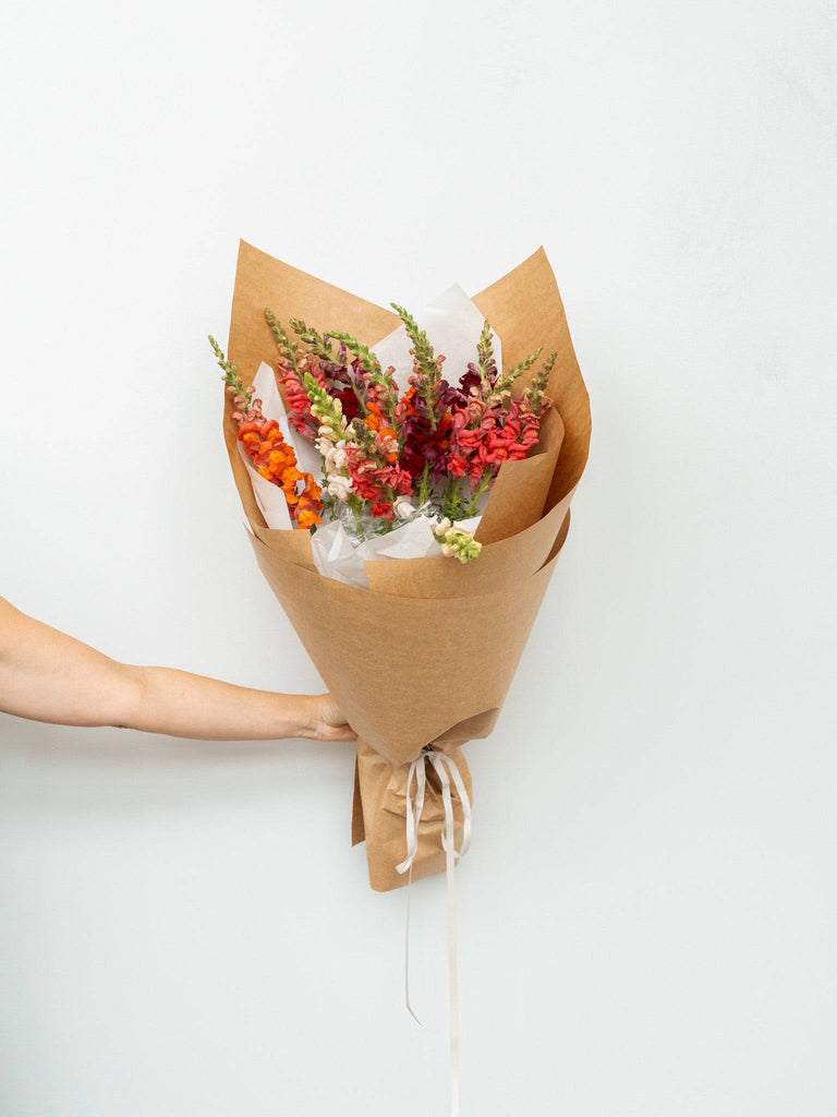 Snapdragon Flower Bunch - Mixed -Wild Poppies -  Flower - Same Day Flower Delivery Auckland - Auckland Flower Delivery \ Florists - boutique gift boxes
