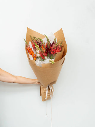 Snapdragon Flower Bunch