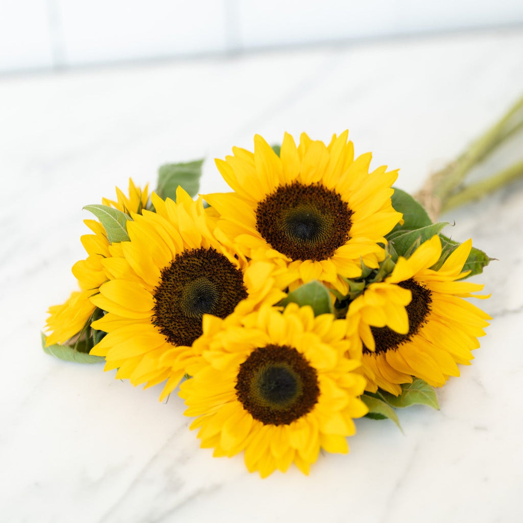Sunflower Bouquet - Wild Poppies -  Flower - Same Day Flower Delivery Auckland - Auckland Flower Delivery - Florists - boutique gift boxes