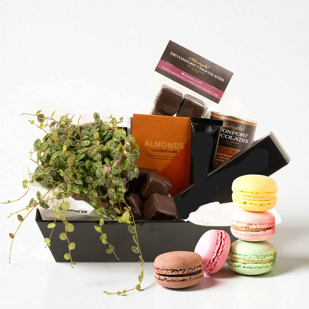 Sweet Little Thing - Wild Poppies -  Flower - Same Day Flower Delivery Auckland - Auckland Flower Delivery \ Florists - boutique gift boxes
