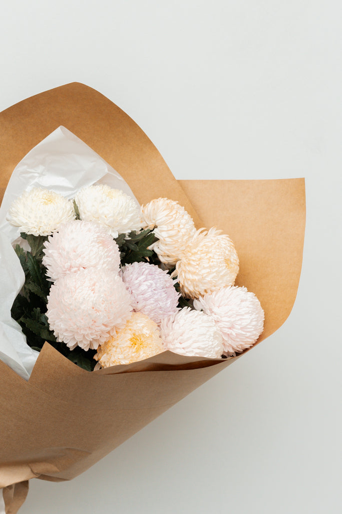 Chrysanthemum Flower Bunch - Mixed - Wild Poppies -  Flower - Same Day Flower Delivery Auckland - Auckland Flower Delivery \ Florists - boutique gift boxes
