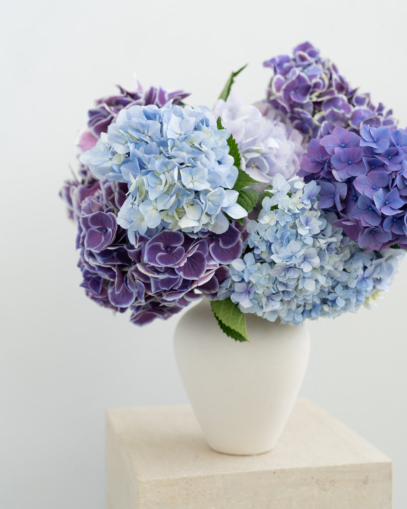 Blue Hyrangea and Cupcakes - Wild Poppies -  Flower - Same Day Flower Delivery Auckland - Auckland Flower Delivery - Florists - boutique gift boxes