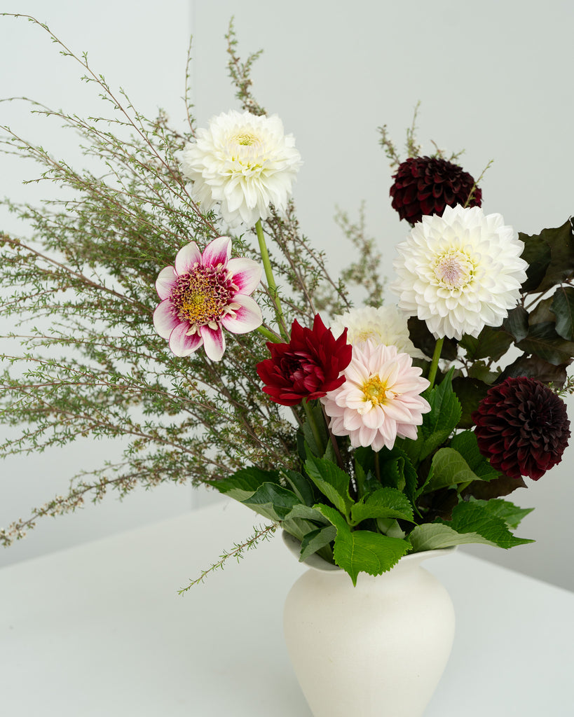 Dahlia Wild Bouquet - - Wild Poppies -  Flower - Same Day Flower Delivery Auckland - Auckland Flower Delivery - Florists - boutique gift boxes