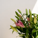 Pink Liliy Bunch - Wild Poppies -  Flower - Same Day Flower Delivery Auckland - Auckland Flower Delivery - Florists - boutique gift boxes