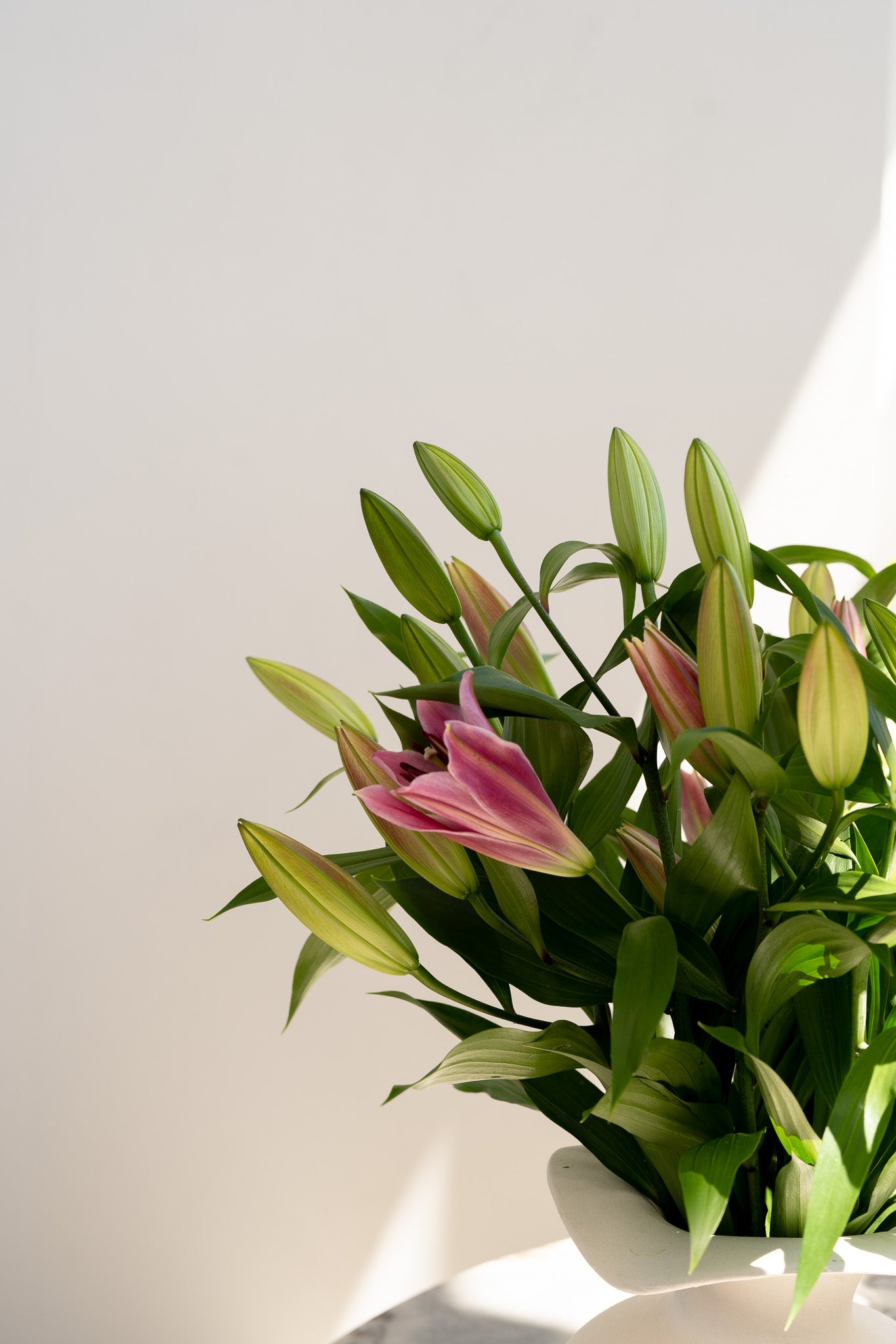 Pink Liliy Bunch - Wild Poppies -  Flower - Same Day Flower Delivery Auckland - Auckland Flower Delivery - Florists - boutique gift boxes