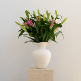 Pink Liliy Bunch - Wild Poppies -  Flower - Same Day Flower Delivery Auckland - Auckland Flower Delivery - Florists - boutique gift boxes