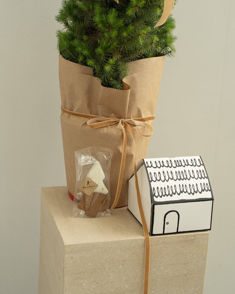 Mini Christmas Tree with Gingerbread Tree Box - Wild Poppies -  Flower - Same Day Flower Delivery Auckland - Auckland Flower Delivery \ Florists - boutique gift boxes