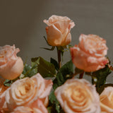 Market Fresh Peach Roses - Wild Poppies -  Flower - Same Day Flower Delivery Auckland - Auckland Flower Delivery - Florists - boutique gift boxes