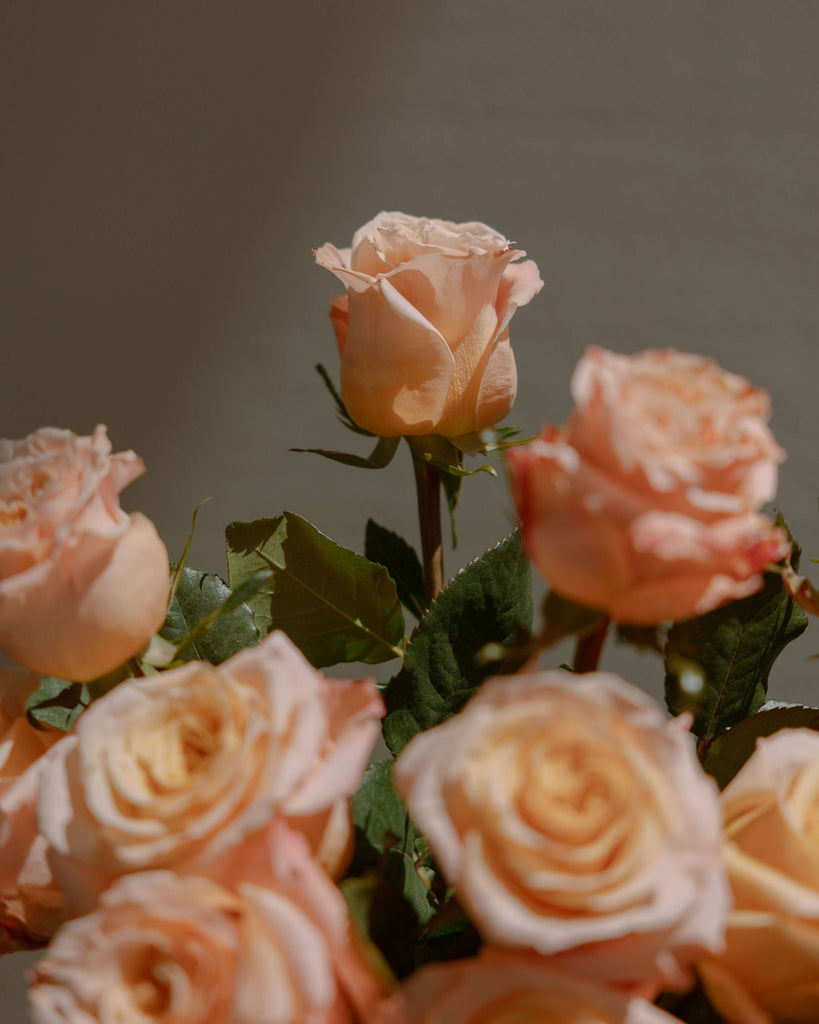 Bouquet of peach-colored roses with a blurred background