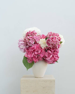 Pretty Pink Hydrangeas