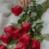Red Rose Moët Indulgence - Wild Poppies -  Gift - Same Day Flower Delivery Auckland - Auckland Flower Delivery \ Florists - boutique gift boxes 