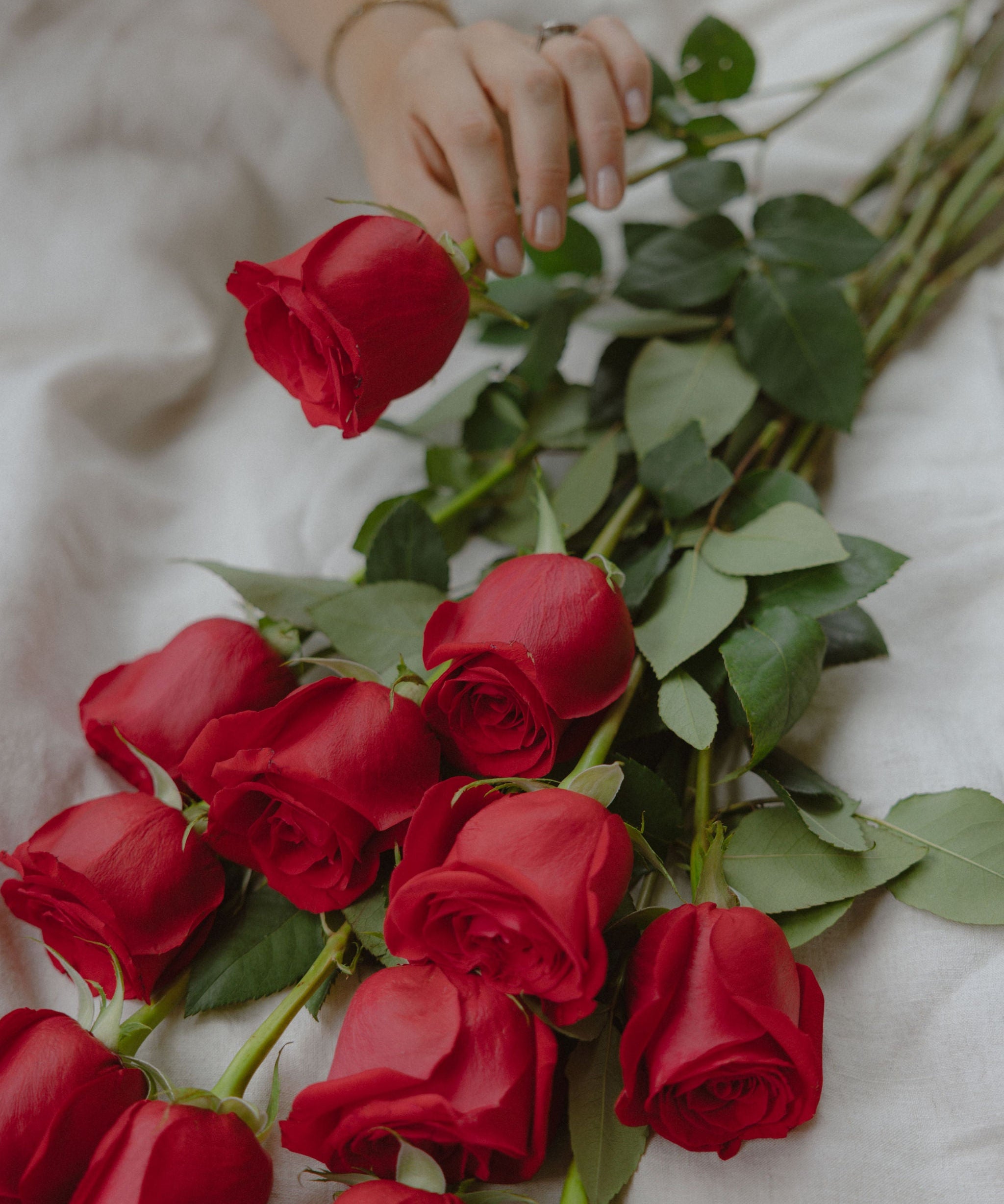 Red Rose Moët Indulgence - Wild Poppies -  Gift - Same Day Flower Delivery Auckland - Auckland Flower Delivery \ Florists - boutique gift boxes 