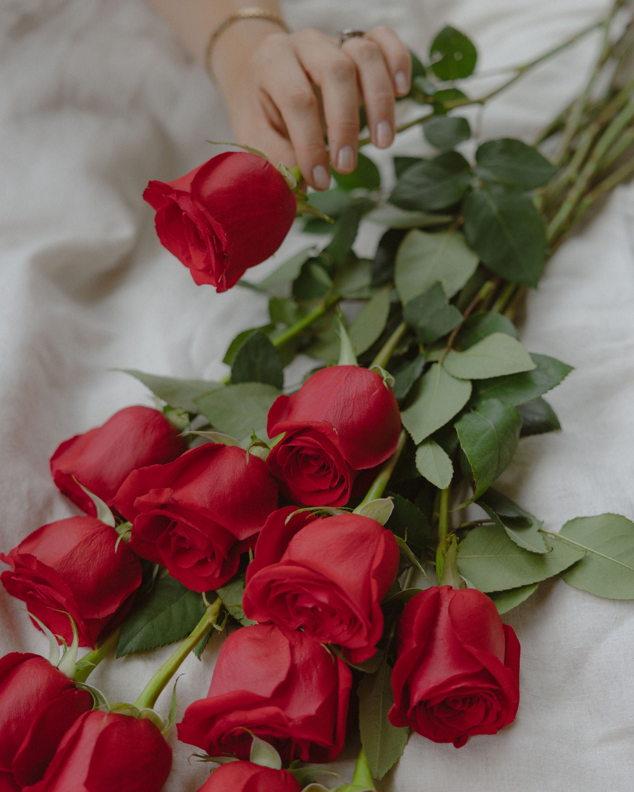 Red Rose Moët Indulgence - Wild Poppies -  Gift - Same Day Flower Delivery Auckland - Auckland Flower Delivery \ Florists - boutique gift boxes 