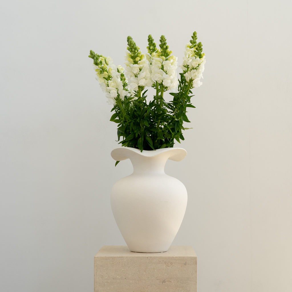 Elegant White Snapdragon Bunch - Dusky Pink Bunch - Wild Poppies -  Flower - Same Day Flower Delivery Auckland - Auckland Flower Delivery \ Florists - boutique gift boxes