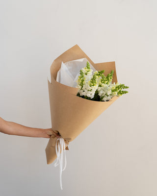 Elegant White Snapdragon Bunch