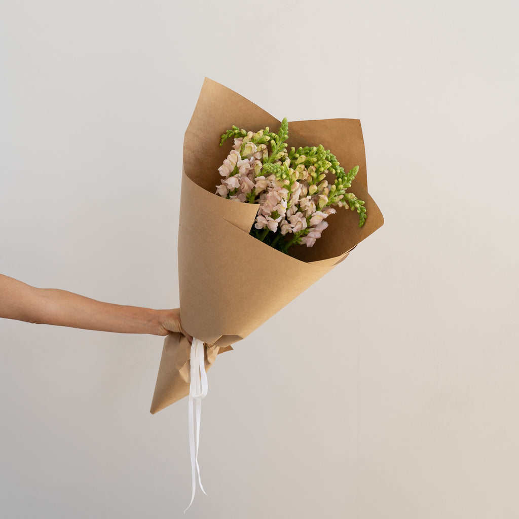 Dusky Pink Bunch - Wild Poppies -  Flower - Same Day Flower Delivery Auckland - Auckland Flower Delivery \ Florists - boutique gift boxes