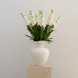 White Stock Bunch - Wild Poppies -  Flower - Same Day Flower Delivery Auckland - Auckland Flower Delivery \ Florists - boutique gift boxes