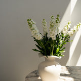 White Stock Bunch - Wild Poppies -  Flower - Same Day Flower Delivery Auckland - Auckland Flower Delivery \ Florists - boutique gift boxes