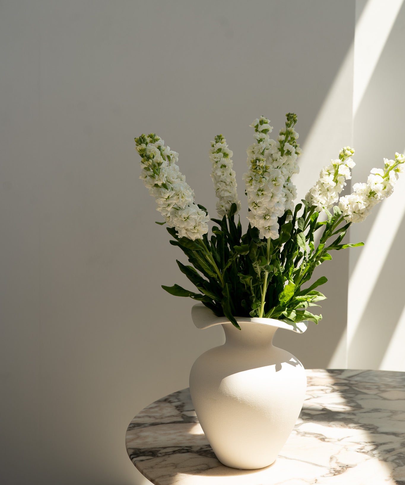 White Stock Bunch - Wild Poppies -  Flower - Same Day Flower Delivery Auckland - Auckland Flower Delivery \ Florists - boutique gift boxes